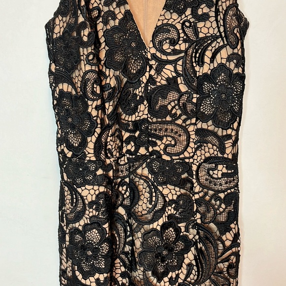 Dress the Population Sophia lace mermaid gown - Picture 5 of 15